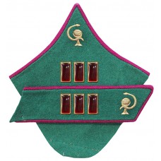 ВОЕНВРАЧ 1-го ранга, ВОЕНВЕТВРАЧ 1-го ранга, войск НКВД, петлицы обр. 1937 г..